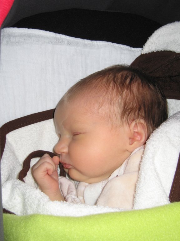 dscf0390.jpg