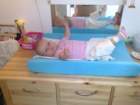 photo213_small.jpg
