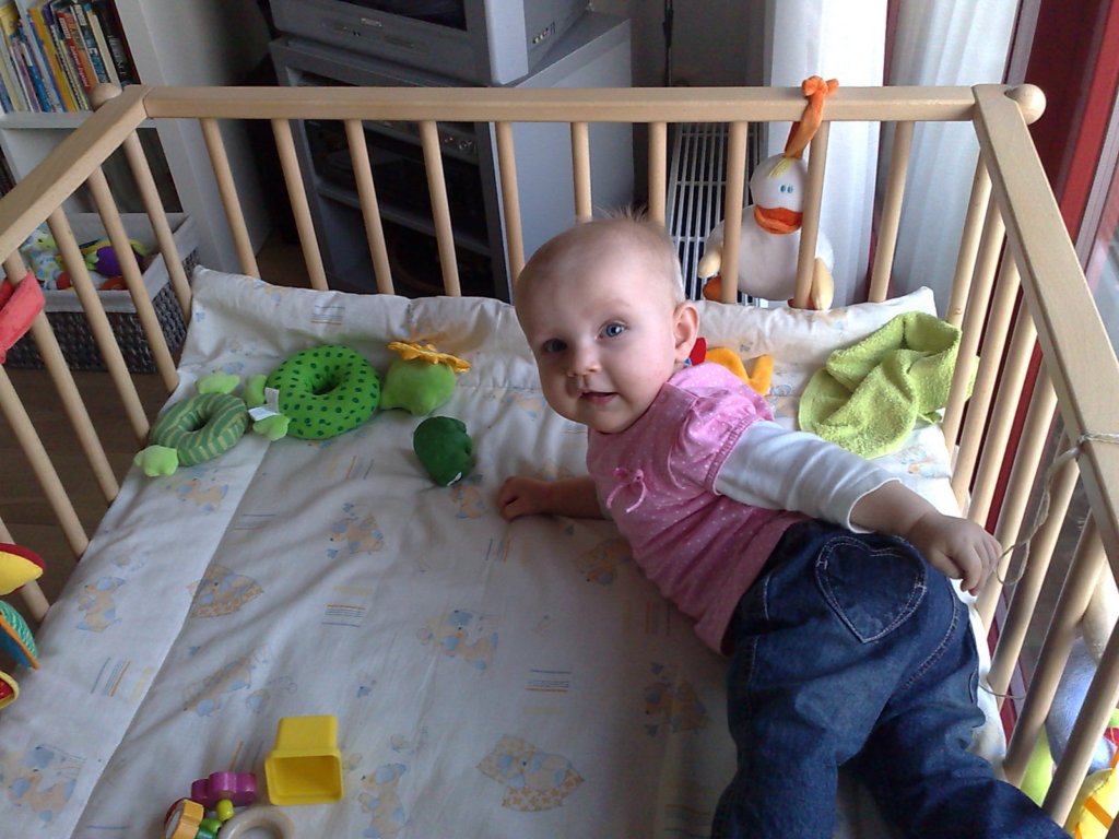 photo331.jpg