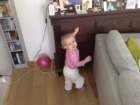 photo462_small.jpg