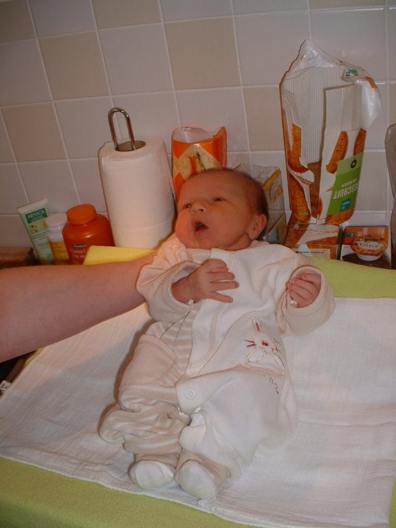dscf0375.jpg