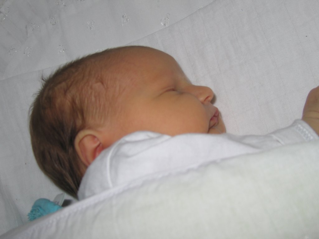 dscf0376.jpg