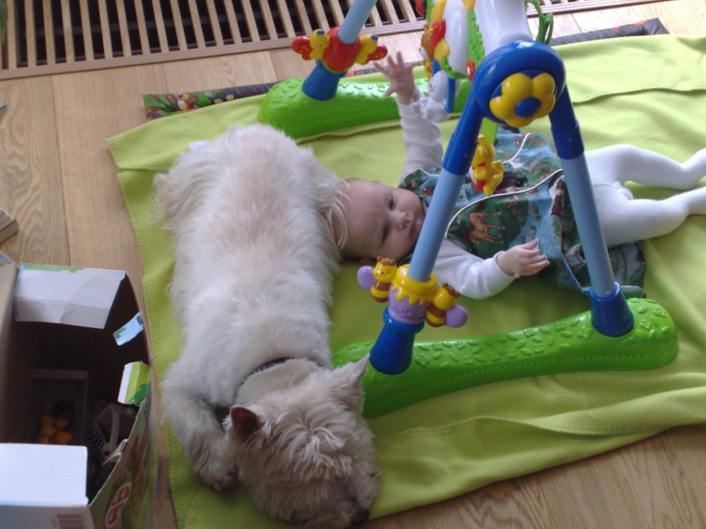 photo136.jpg