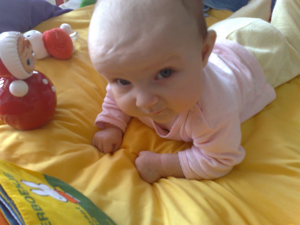 photo146.jpg