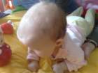 photo147_small.jpg