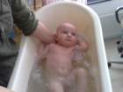 photo151_small.jpg