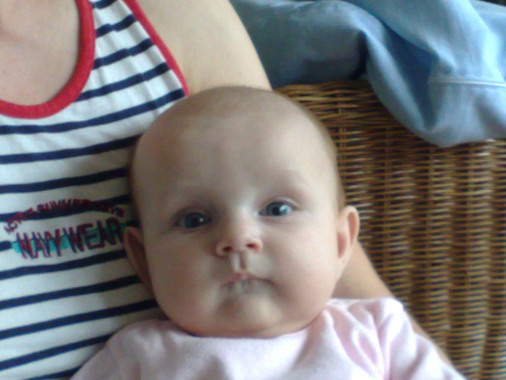 photo176.jpg