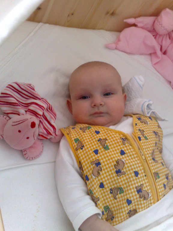 photo206.jpg