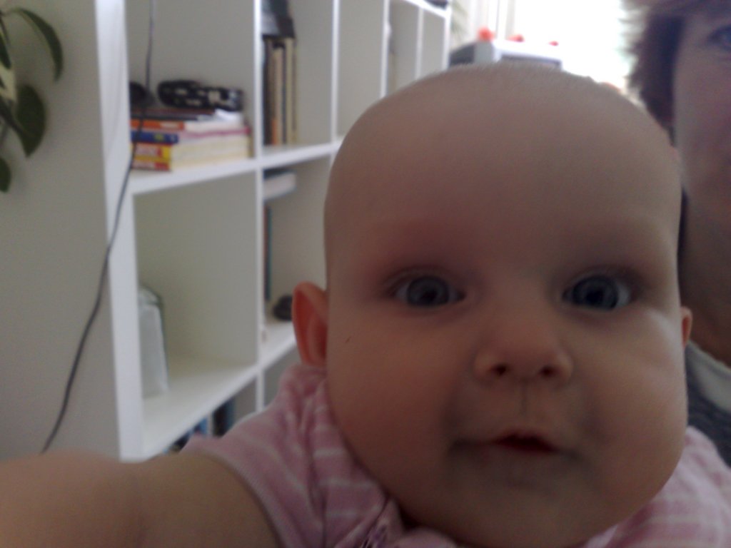 photo221.jpg