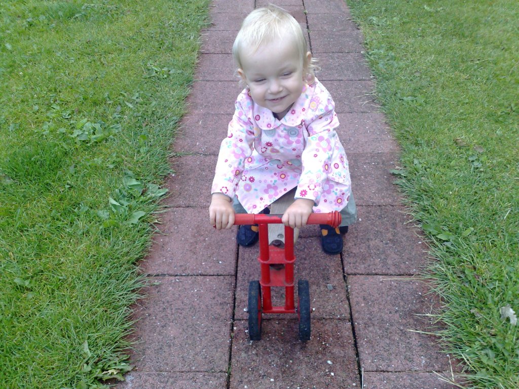 photo512.jpg