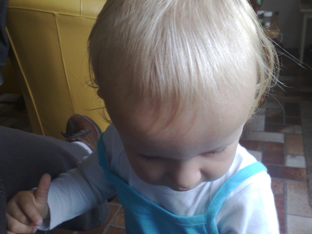 photo524.jpg