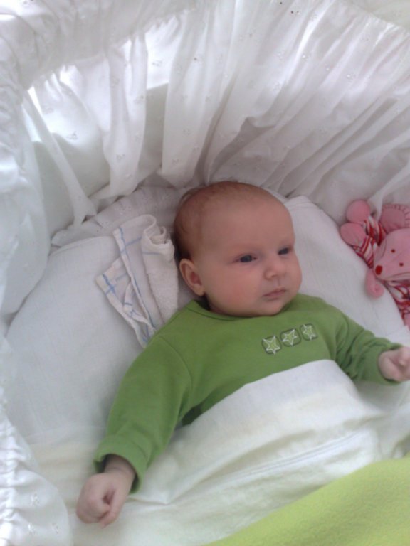 photo60.jpg