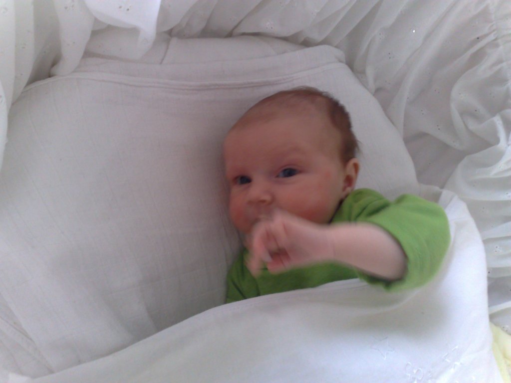 photo10.jpg