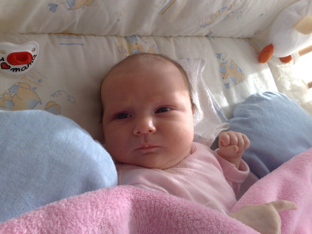 photo29.jpg