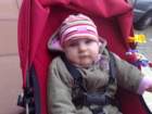 photo337_small.jpg